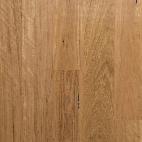 Blackbutt Preference Select 2