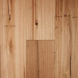 Blackbutt Rustic Brushed Matte Fiddleback 1200x1200