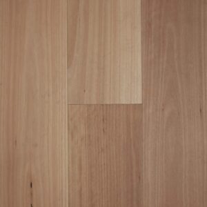 Blackbutt Smooth Matte Fiddleback 1536x1536 1