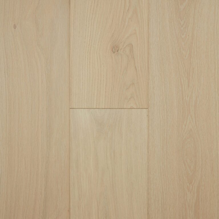 OP Coral Cay H 1920x1918