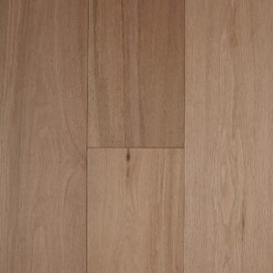 Parchment Pronto 1920x1920