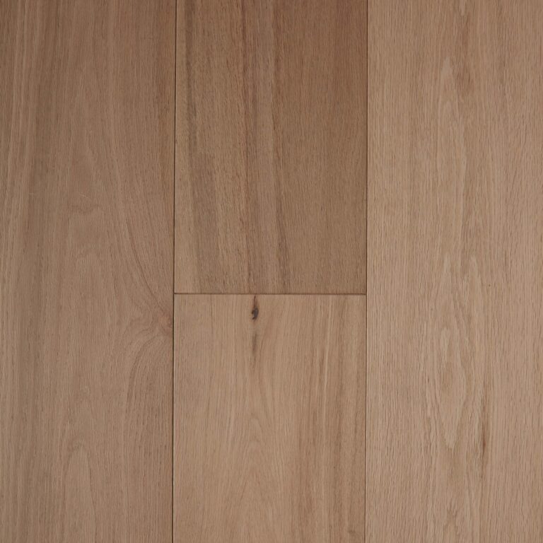 Parchment Pronto 1920x1920