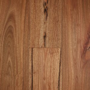 Spotted Gum Rustic Brushed Matte Fiddleback 1200x1200