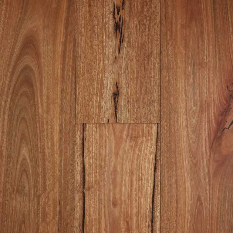 Spotted Gum Rustic Brushed Matte Fiddleback 1200x1200