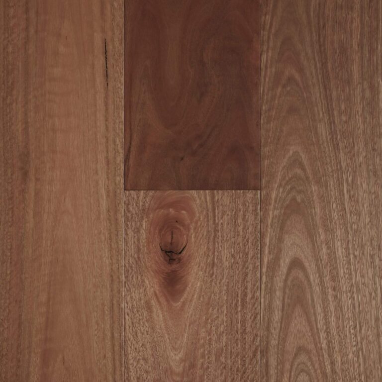 Spotted Gum Smooth Matte Fiddleback 1200x1200